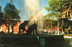 Dzielnica Coyoacán - fontanna