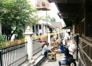 Yogyakarta, sprzedawcy ptaków