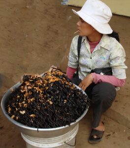 Tajlandia, targ, w metalowej misie smażone owady, prawdopodobnie świerszcze lub koniki polne